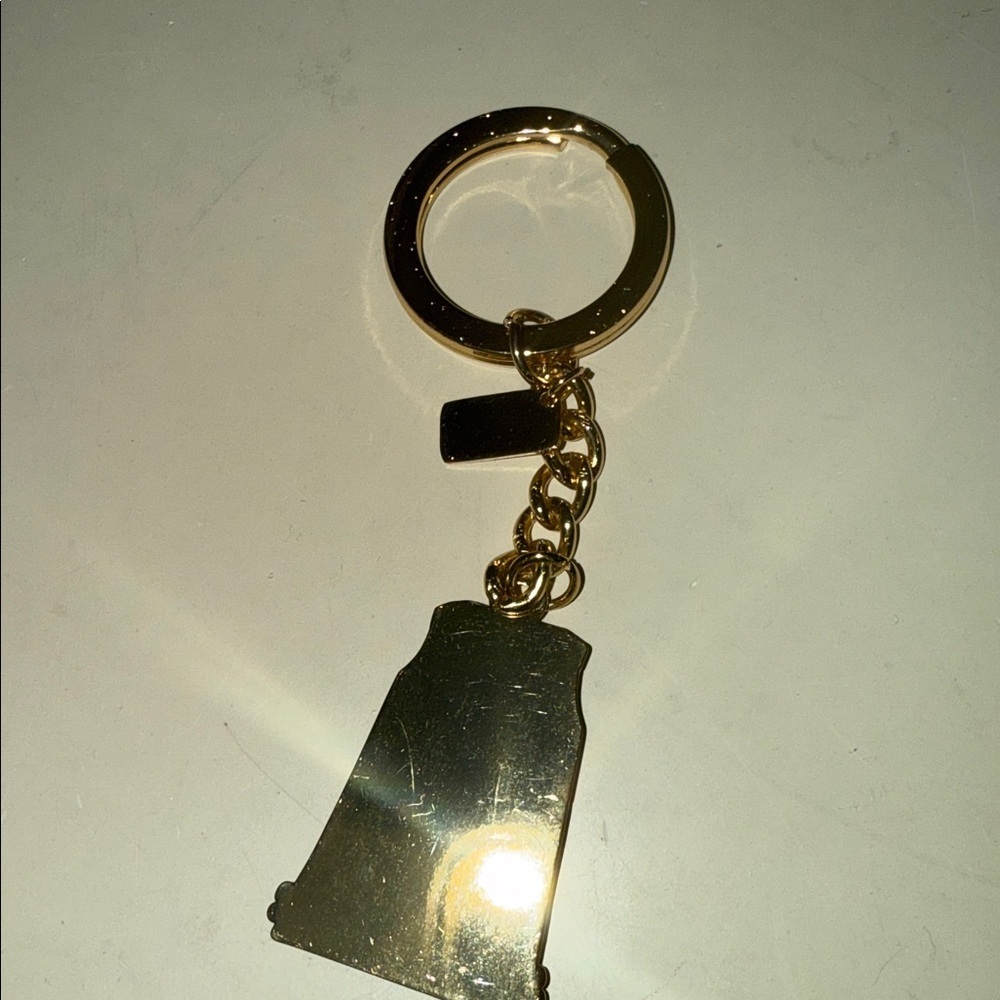 Lilly Pulitzer shift keychain Lilly’s pink skip on it NWT - Picture 6 of 7
